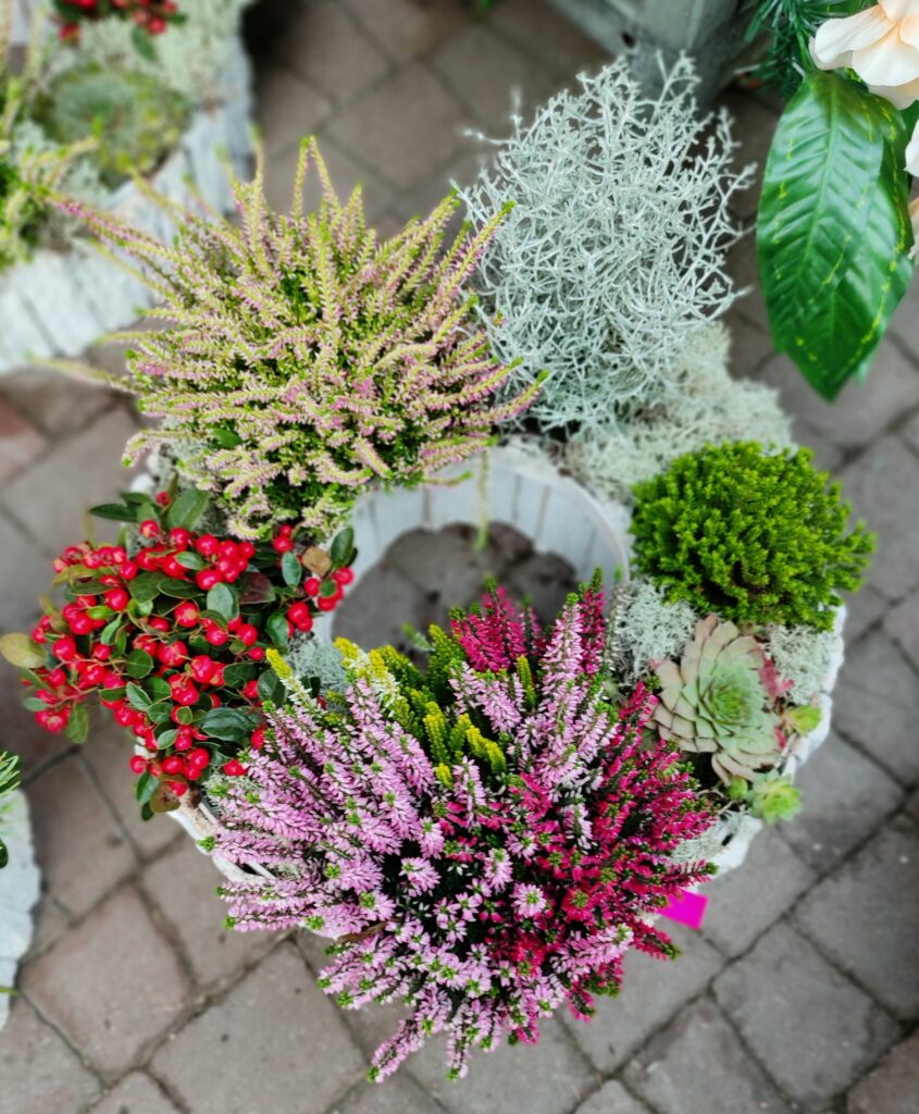 Stroiki na cmentarz z żywych roślin alternatywa dla sztucznych