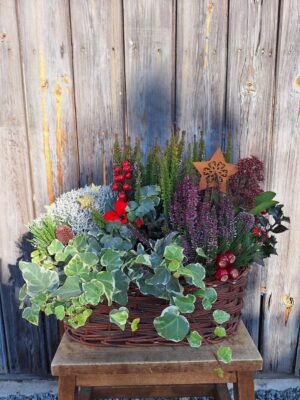 stroik bożonarodzeniowy na cmentarz