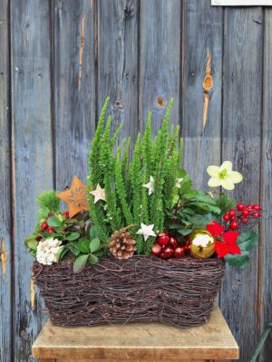 zimowa kompozycja na balkon w koszu wiklinowym