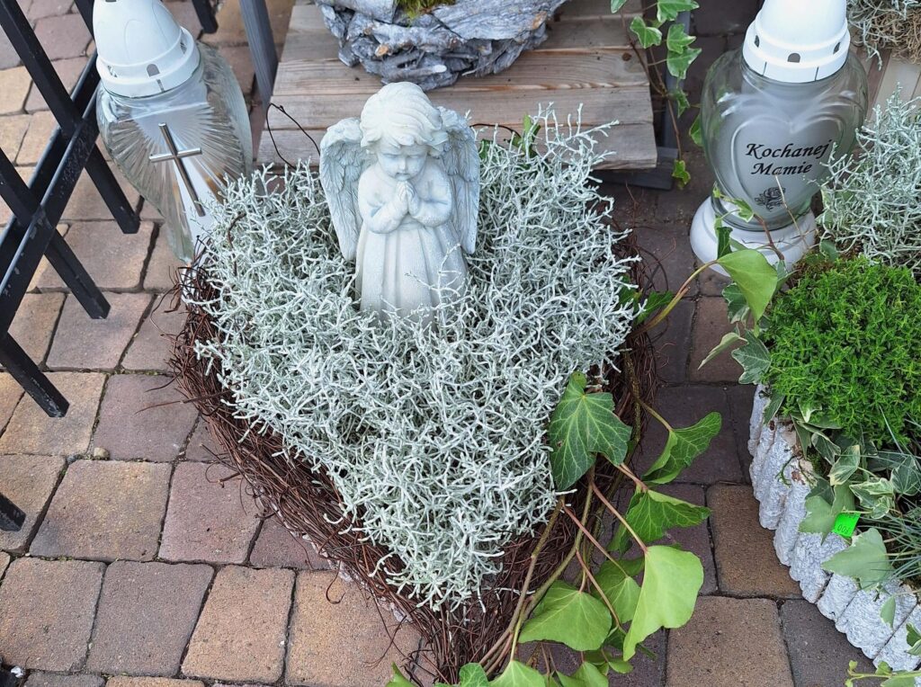 kalocefalus stroik na cmentarz z aniołkiem