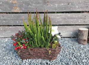 Kompozycja Zimowa na Taras i Balkon w wiklinowej skrzynce