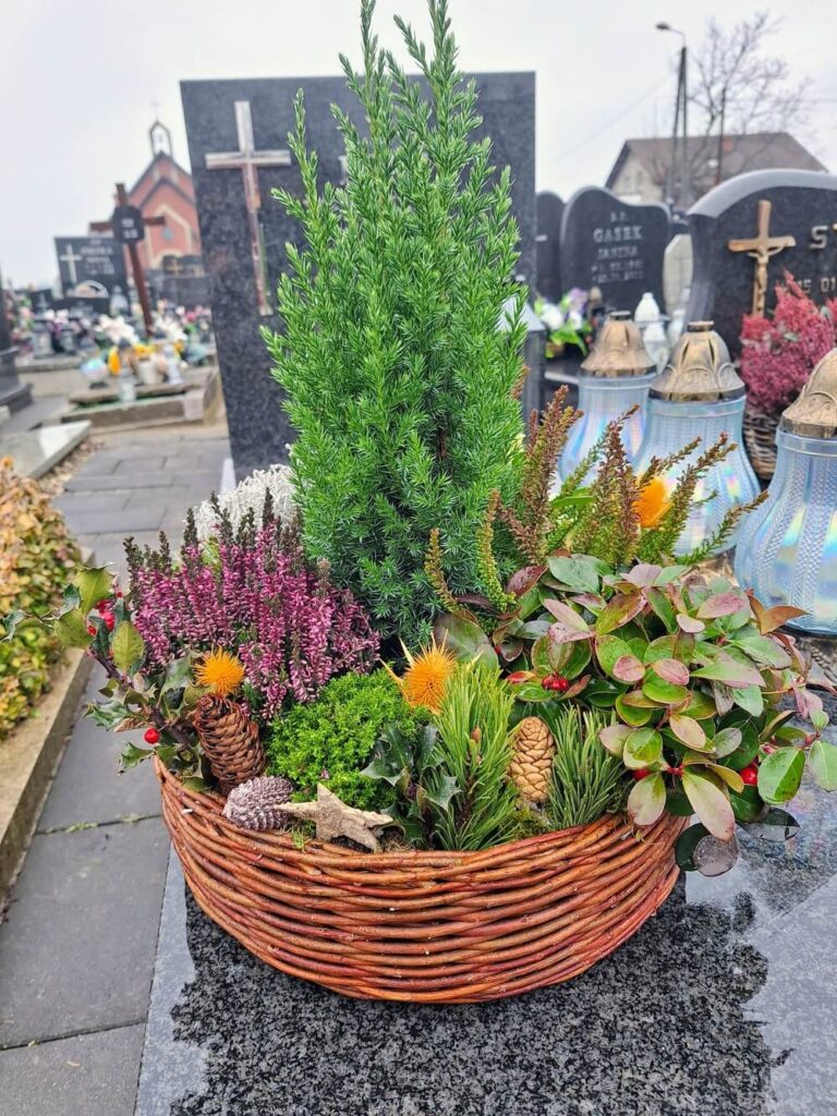 stroik na cmentarz z żywym jałowcem, szyszkami i wrzosami w koszu wiklinowym