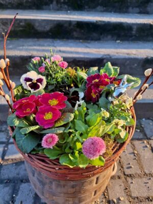 Gotowe nasadzenie wiosenne na balkon i taras – naturalna kompozycja w koszu